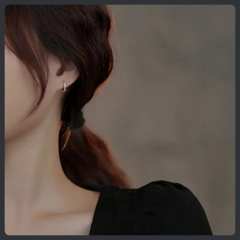Silver Plated 316L Spiral Winding Earrings with ZC Micro‑Inlay