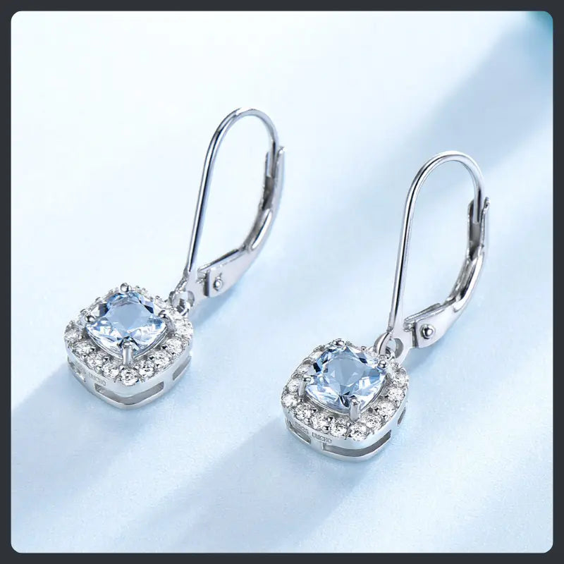 Silver Plated 316L Clip‑On Earrings with ZC Accent Main image